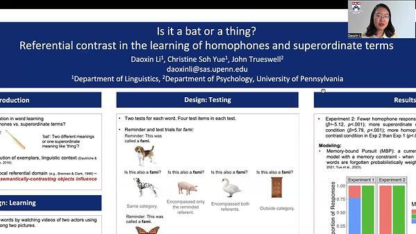 Is it a bat or a thing? Referential contrast in the learning of homophones and superordinate terms