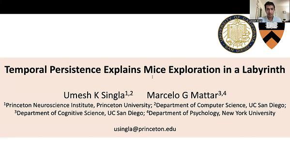 Temporal Persistence Explains Mice Exploration in a Labyrinth