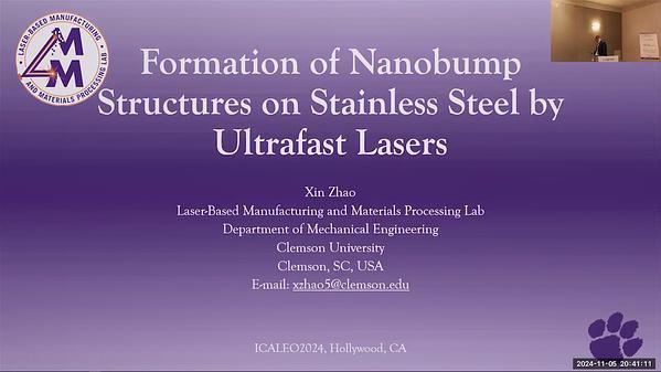 A Double-Scan Technique for Femtosecond Laser-Induced Nanobumps