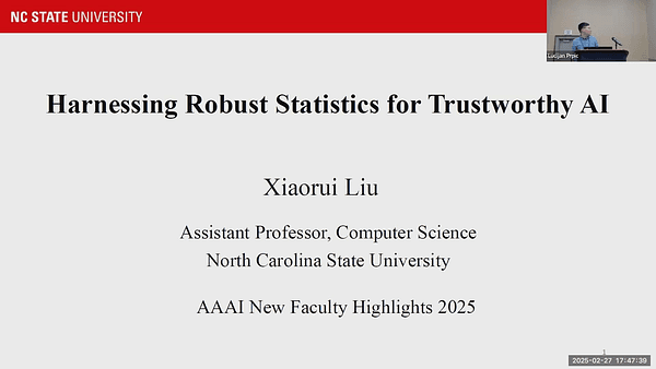 Harnessing Robust Statistics for Trustworthy AI
