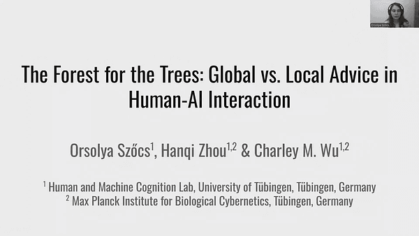 The Forest for the Trees: Global vs. Local Advice in Human-AI Interaction