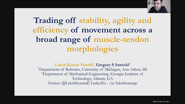 Trading off stability, agility and efficiency of movement across a broad range of muscle tendon morphologies