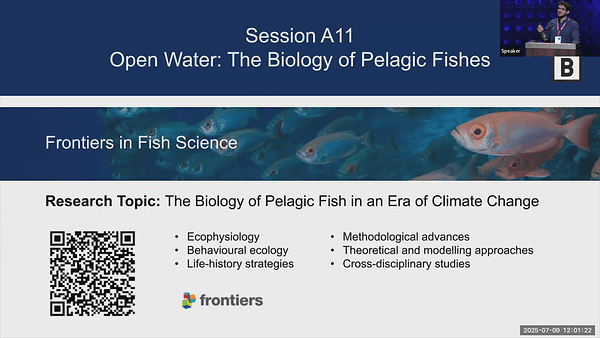 Survival and post-release behaviour of pelagic sharks caught in recreational catch-and-release fisheries - insights from electronic tagging