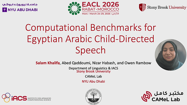 Computational Benchmarks for Egyptian Arabic Child Directed Speech