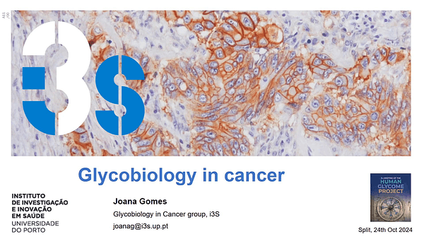 Glycobiology of cancer