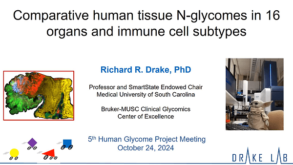 Comparative human tissue N-glycomes in 16 organs and immune cell subtypes