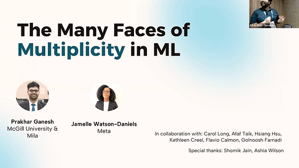 The Many Faces of Multiplicity in Machine Learning