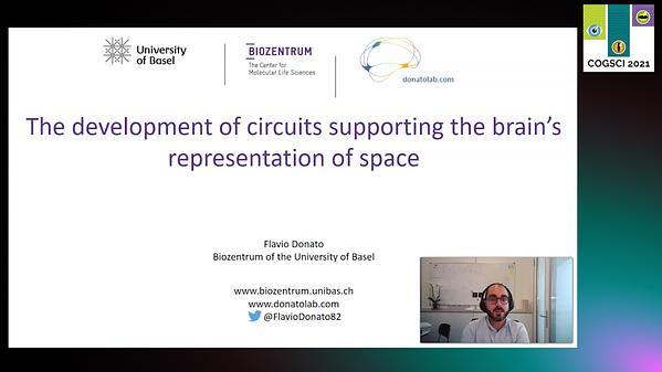 The development of circuits supporting the brain's representation of space