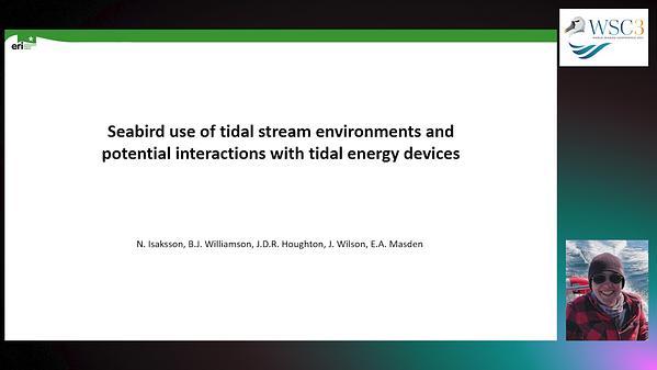 Seabird use of tidal stream environments and potential interactions with tidal energy devices