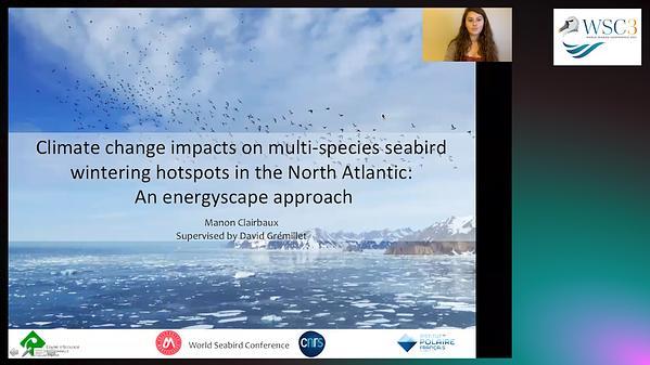 Climate change impacts on multi-species seabird wintering hotspots in the North Atlantic - An energyscape approach