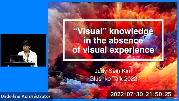 "Visual" knowledge in the absence of visual experience