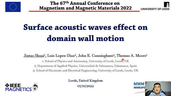 Surface Acoustic Waves Effect on Domain Wall Motion