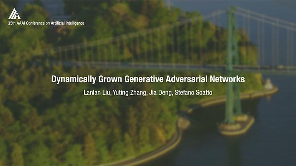 Dynamically Grown Generative Adversarial Networks