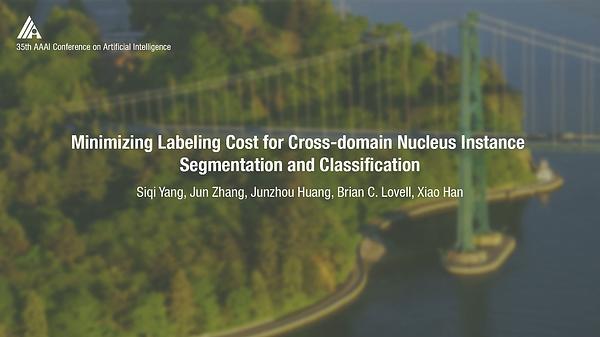 Minimizing Labeling Cost for Nuclei Instance Segmentation and Classificationwith Cross-Domain Images and Weak Labels