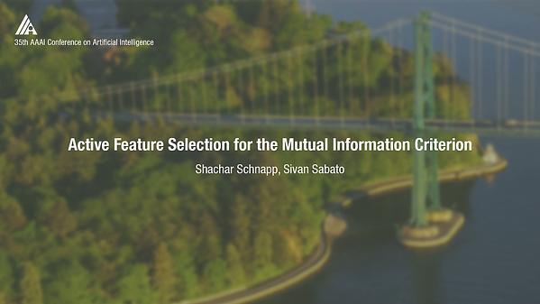 Active Feature Selection for the Mutual Information Criterion