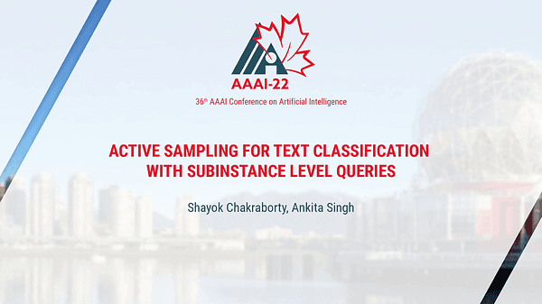 Active Sampling for Text Classification with Subinstance Level Queries