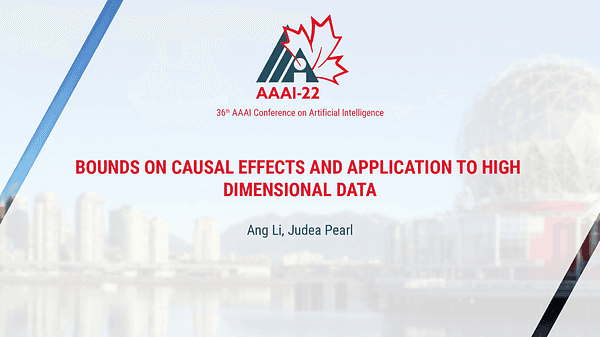 Bounds on Causal Effects and Application to High Dimensional Data