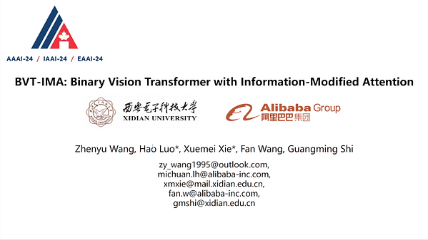 BVT-IMA: Binary Vision Transformer with Information-Modified Attention | VIDEO