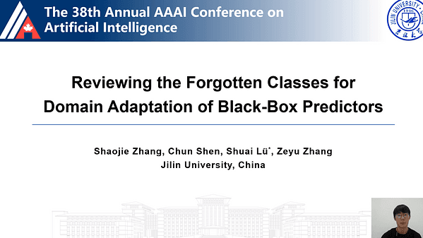 Reviewing the Forgotten Classes for Domain Adaptation of Black-Box Predictors