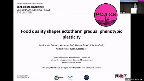 Food quality shapes ectotherm gradual phenotypic plasticity