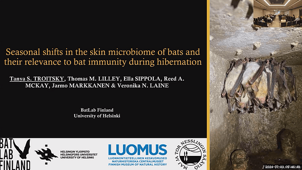 Seasonal shifts in the skin microbiome of bats and their relevance to bat immunity during hibernation