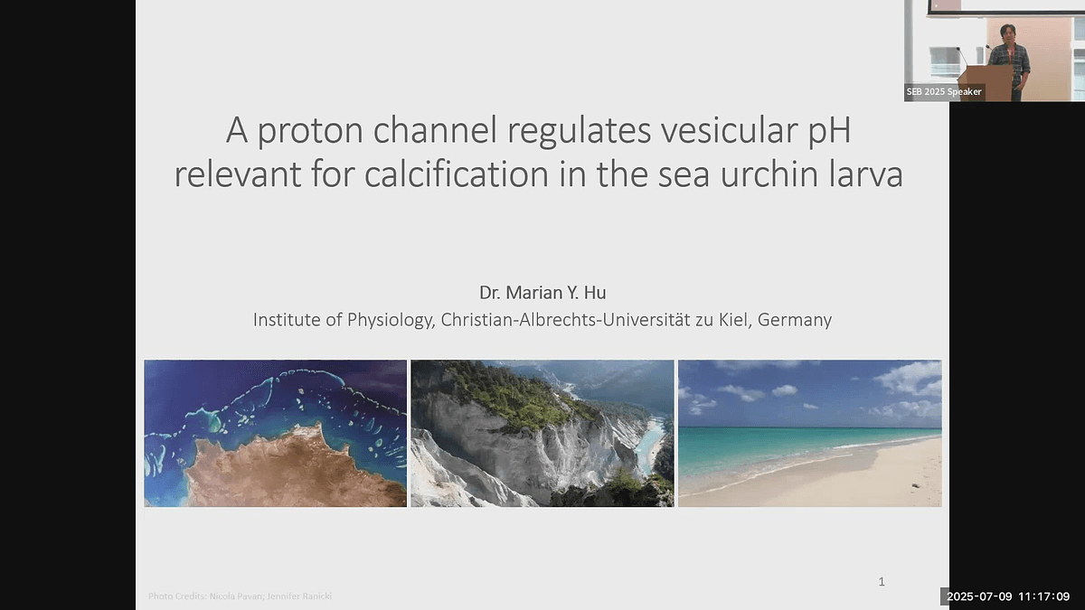 Lecture image placeholder