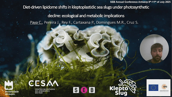Changes in the lipidome of kleptoplastidic sea slugs during break down of photosynthetic capacity: Metabolic and ecological implications