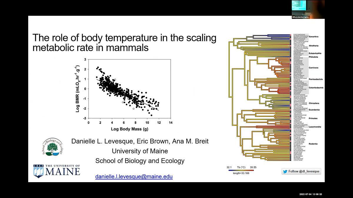 Lecture image placeholder
